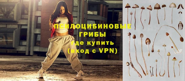 прущая мука Нея