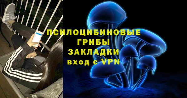 сатива Нефтегорск