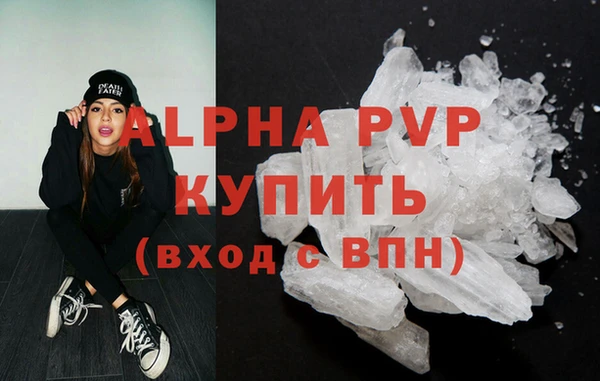 гашик Нефтекумск