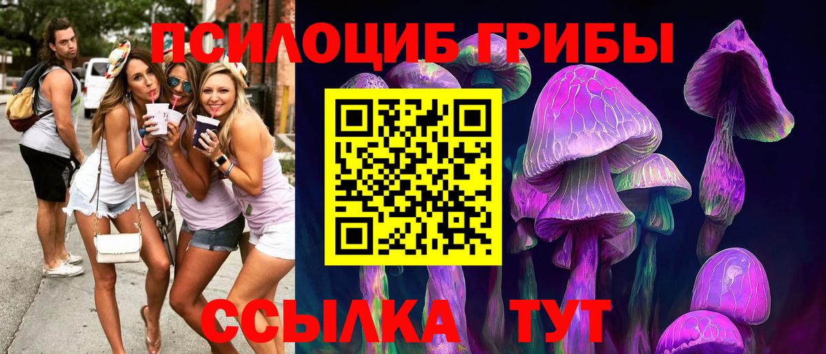 сколько стоит  Галлюциногенные грибы мухоморы  Вход с VPN  Ливны  Псилоцибиновые грибы прущие грибы 
