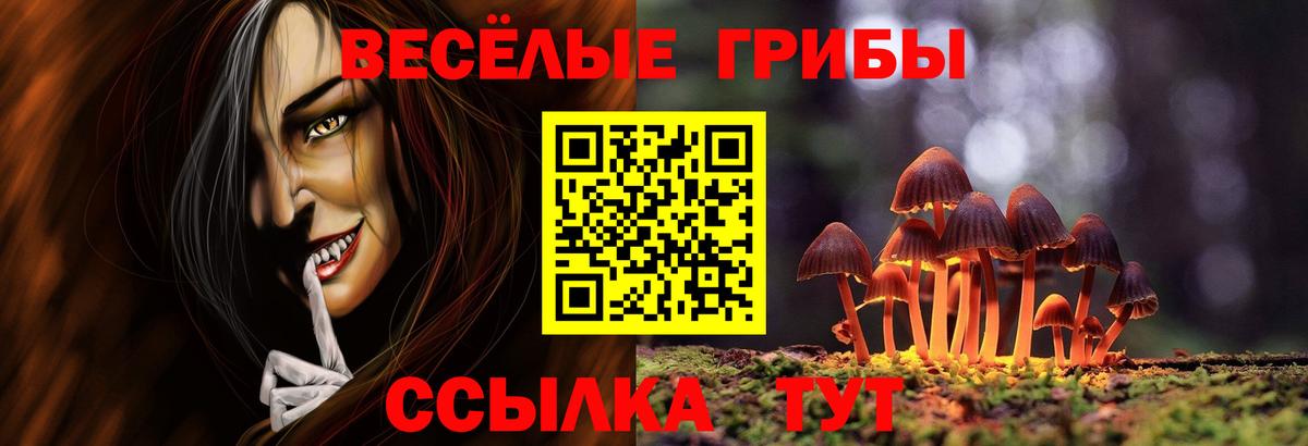 Галлюциногенные грибы ЛСД Ливны